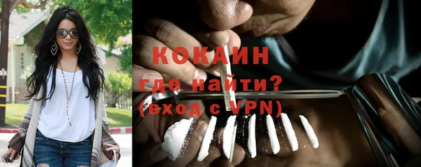 гашик Белокуриха