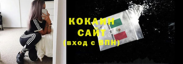 гашик Белокуриха