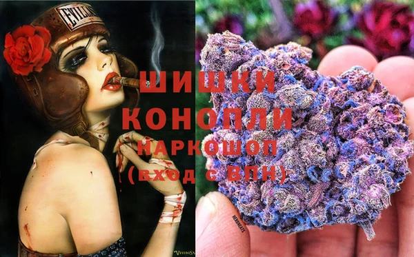 гашик Белокуриха