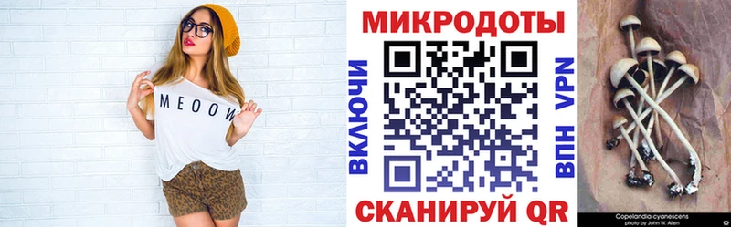 наркота  Красный Кут  Галлюциногенные грибы прущие грибы 